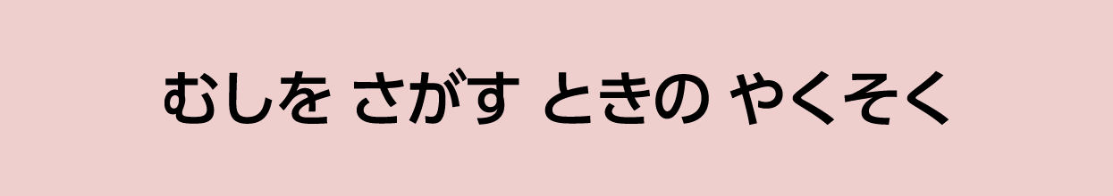 むしを さがす ときの やくそく